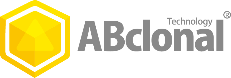 Click to View EXOC2 Rabbit pAb- ABclonal Product Detail EXOC2 Rabbit pAb- ABclonal Brand Logo