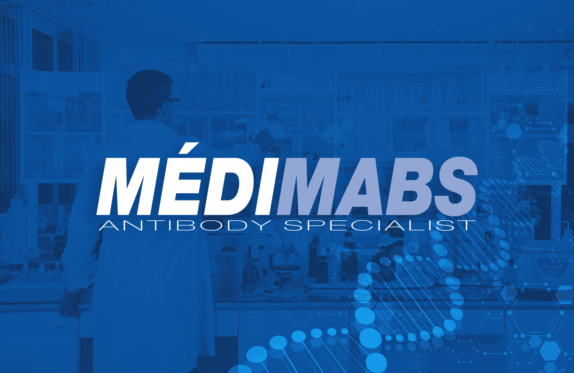Click to View Beta-Actin Mouse Monoclonal Antibody (BA3R) Product Detail Beta-Actin Mouse Monoclonal Antibody (BA3R) Brand Logo